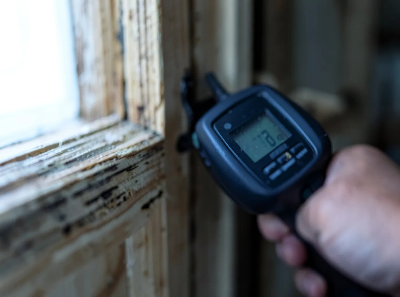 Moisture Inspection And Documentation in Shandaken, NY